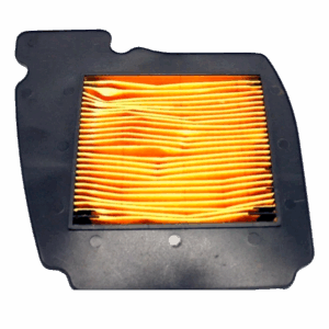 FILTRO AIRE FZ-150 TMMP [REM1060]